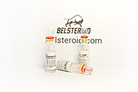 Sustanon 250 (Голландия) 1ml