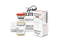 Testo Mix 250