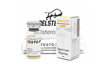 Testo P (Spectrum) 10ml