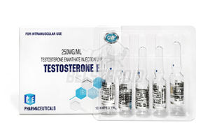 Testosterone E (Ice) 1ml